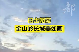 半岛网络有限公司官网首页查询截图0